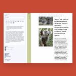 2006 craft cms content blocks