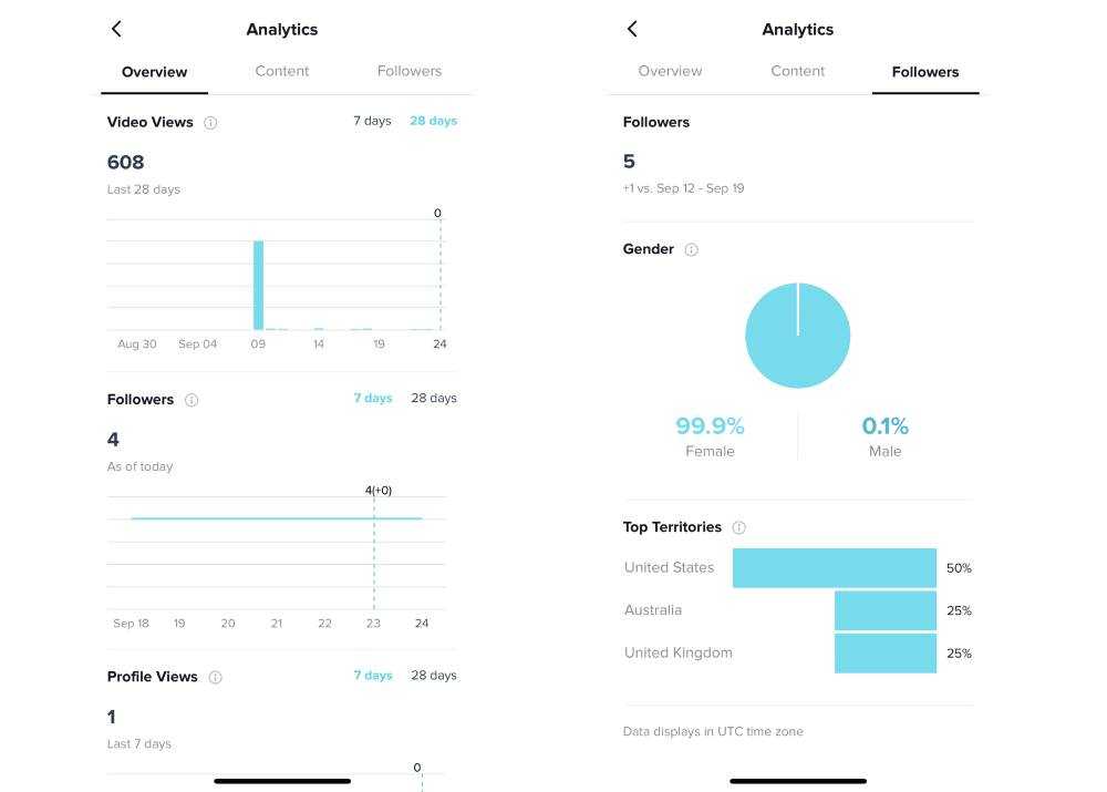 TikTok video analytics