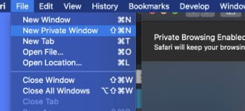 Using private mode in Safari browser